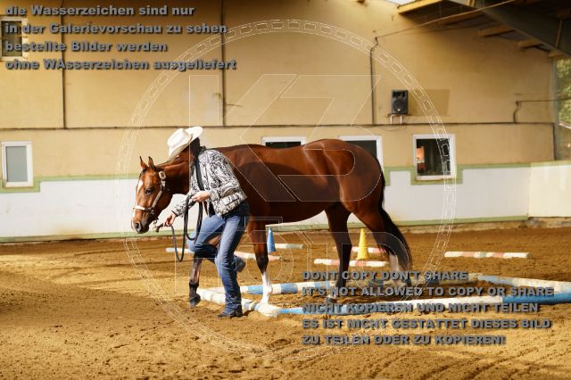 s_K3F08085.JPG